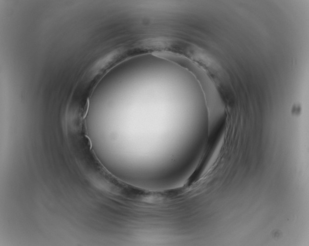 X0000091300168200708172215