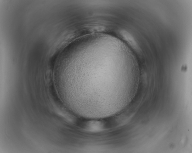 X0000091300169200708172215