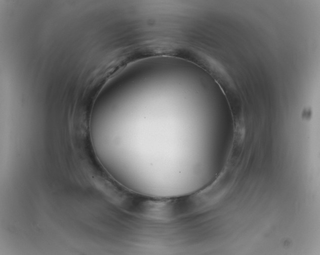 X0000091300170200708172215