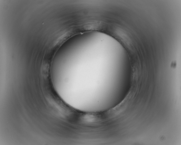 X0000091300171200708172215