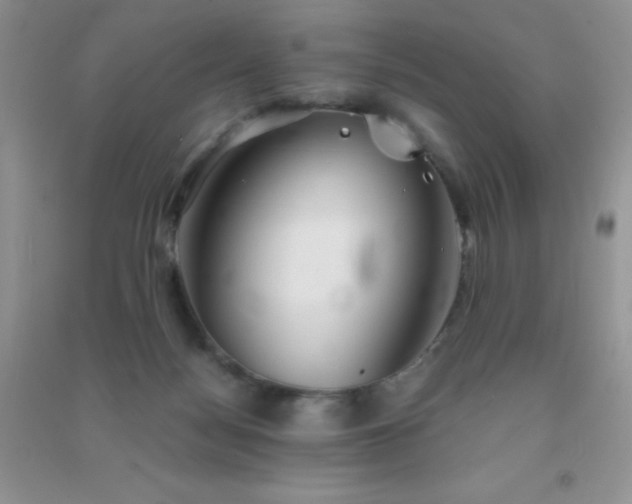 X0000091300172200708172215