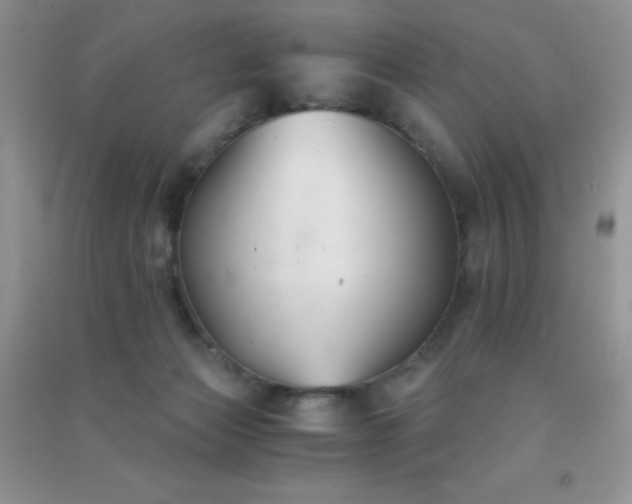 X0000091300173200708172215