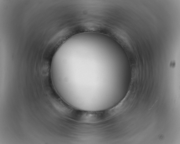 X0000091300174200708172216