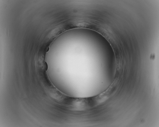 X0000091300175200708172216