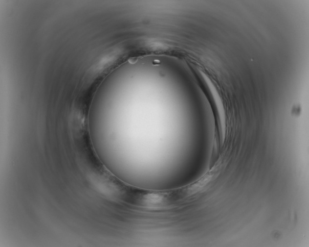 X0000091300176200708172216