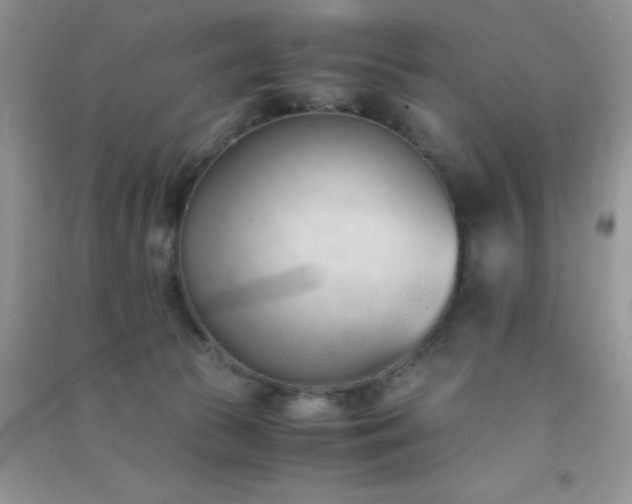 X0000091300177200708172216