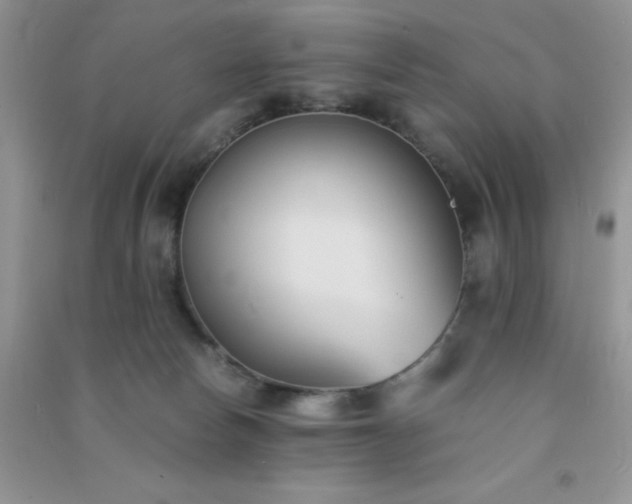 X0000091300178200708172216