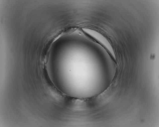 X0000091300180200708172216