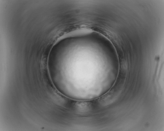 X0000091300181200708172216