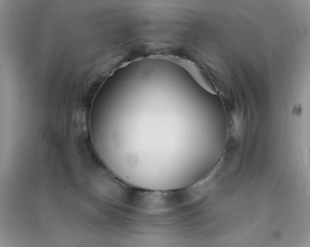 X0000091300182200708172216