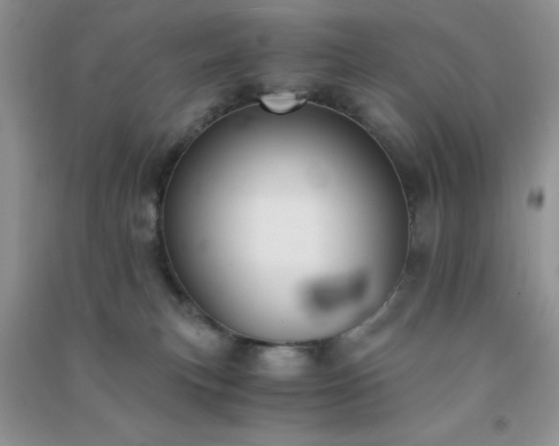 X0000091300183200708172216