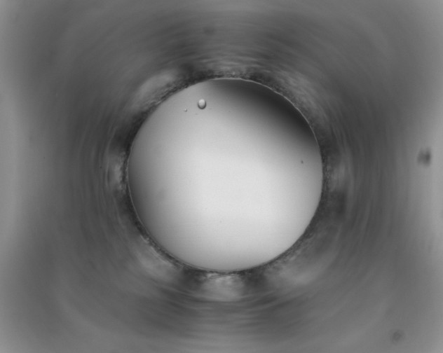 X0000091300185200708172216