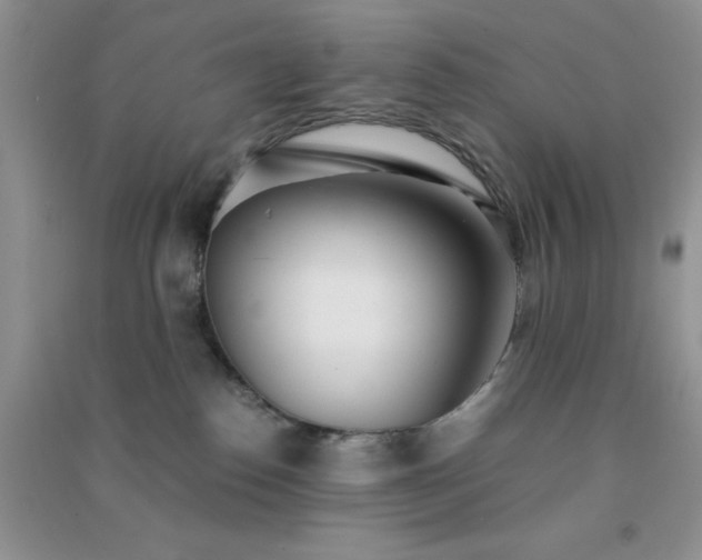 X0000091300186200708172216