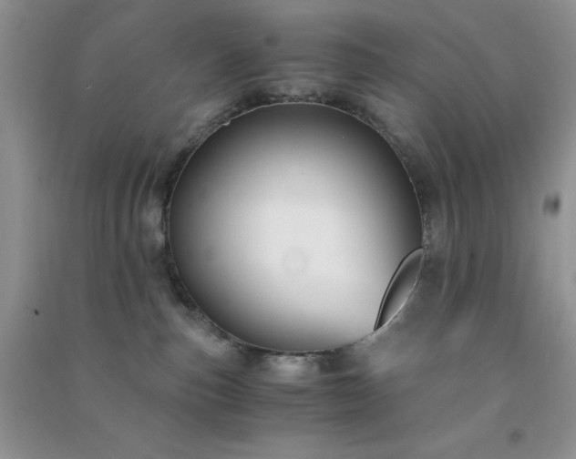 X0000091300187200708172216