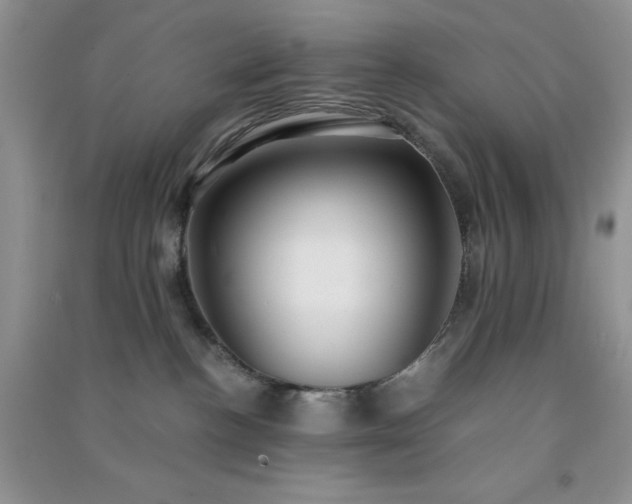 X0000091300188200708172216