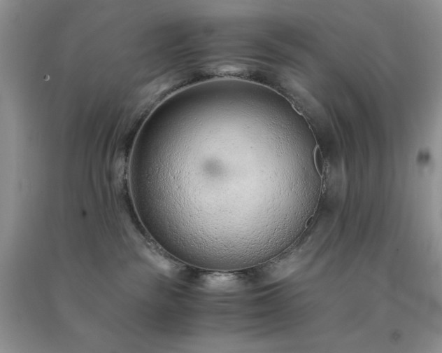 X0000091300189200708172216