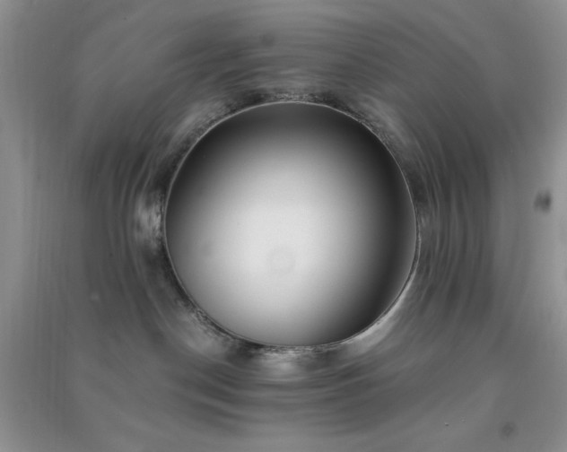 X0000091300190200708172216