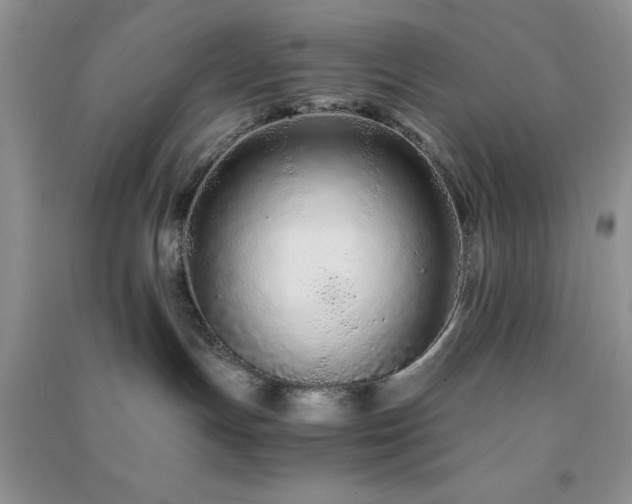 X0000091300191200708172216