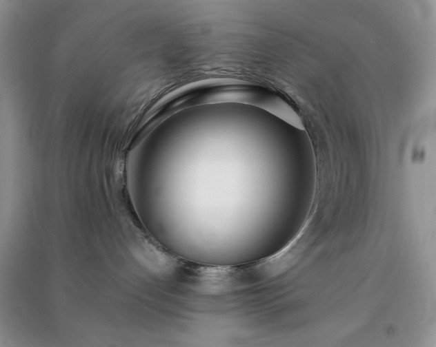 X0000091300192200708172216