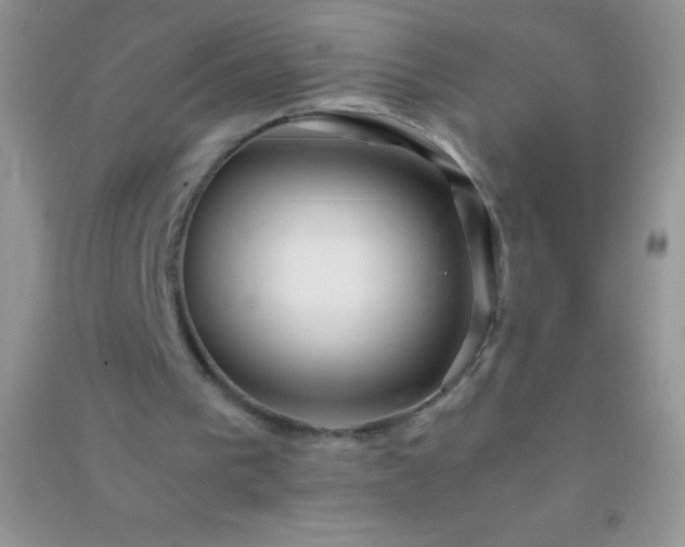 X0000091300193200708172215