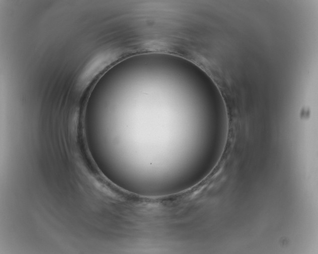 X0000091300194200708172215