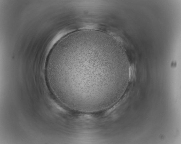 X0000091300195200708172215