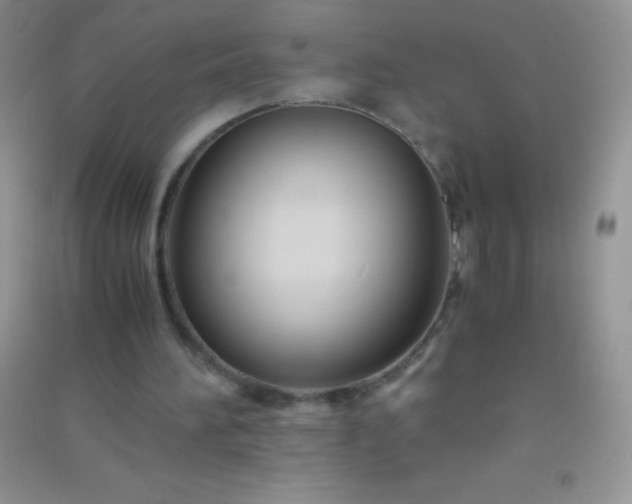 X0000091300196200708172215