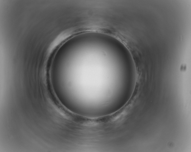 X0000091300198200708172215