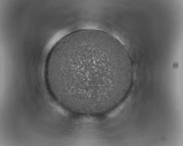 X0000091300199200708172215