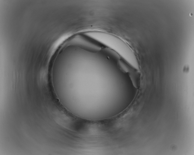 X0000091300200200708172215