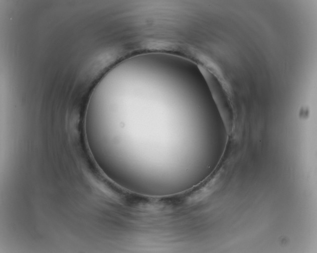 X0000091300201200708172215