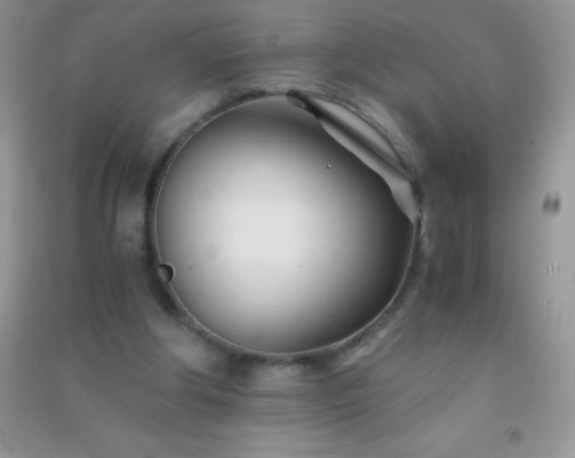 X0000091300202200708172215