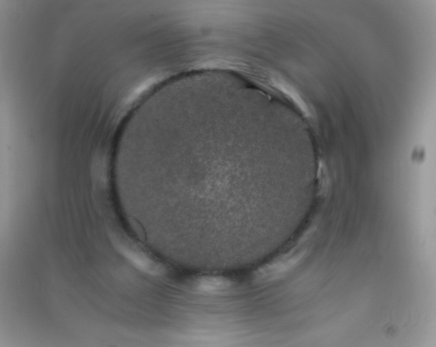 X0000091300203200708172215