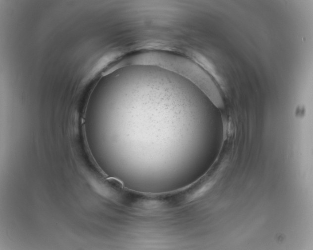 X0000091300205200708172215