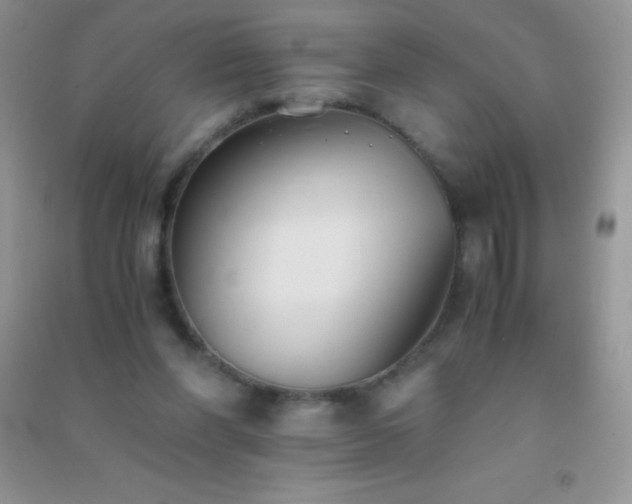 X0000091300206200708172215