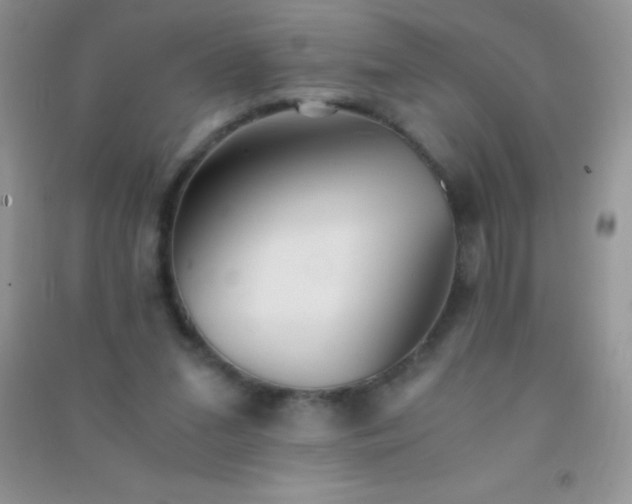 X0000091300207200708172215