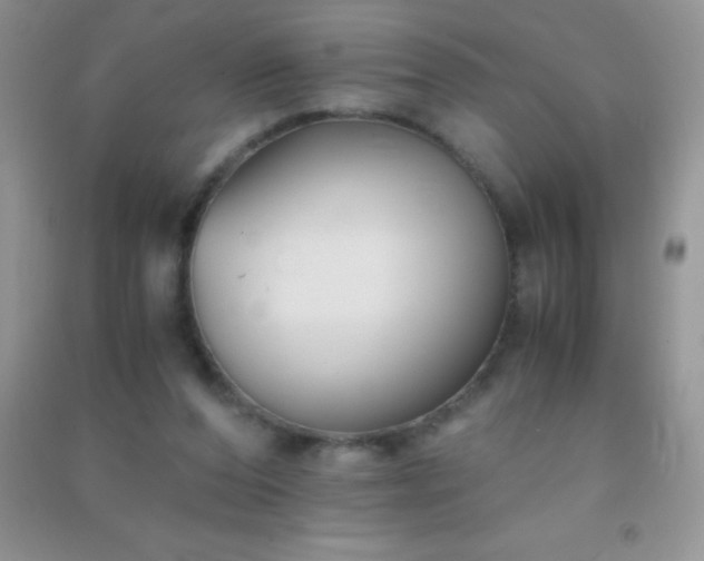 X0000091300208200708172215