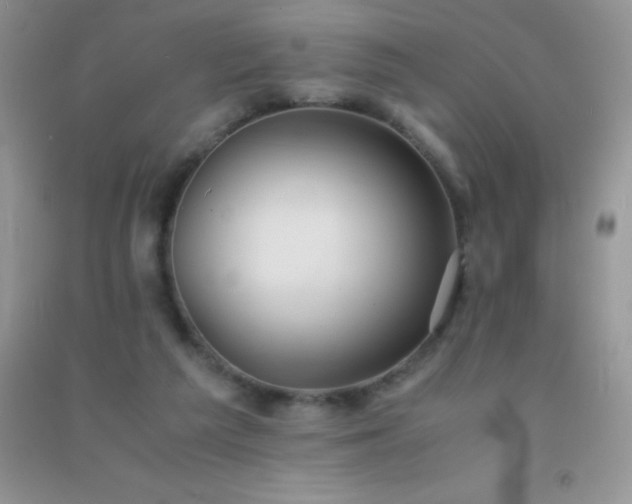 X0000091300209200708172215