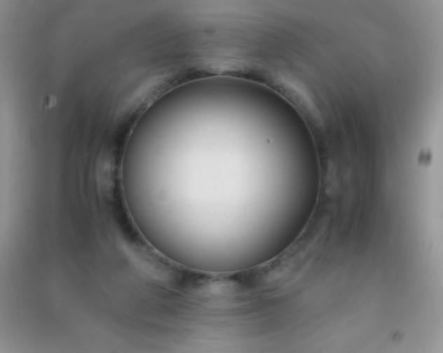 X0000091300210200708172215