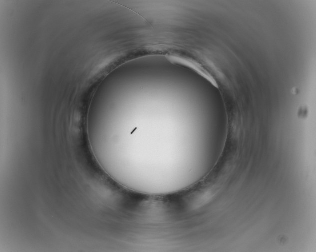 X0000091300211200708172215