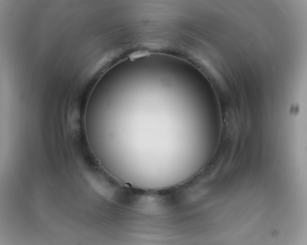 X0000091300212200708172215