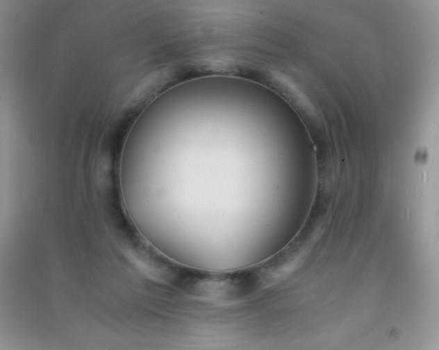 X0000091300213200708172215