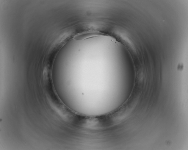 X0000091300214200708172215