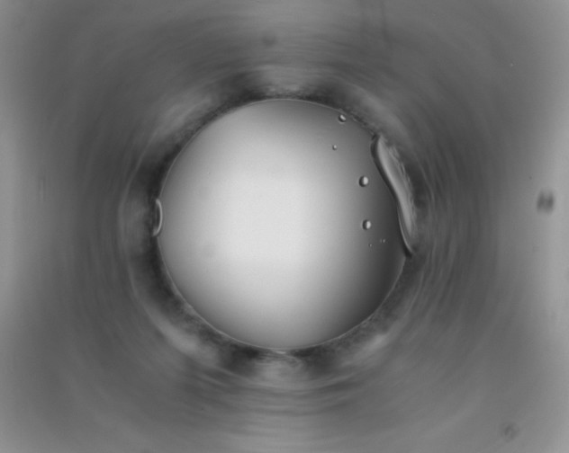 X0000091300215200708172215