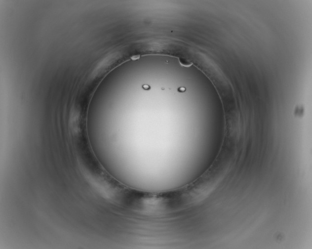 X0000091300216200708172215