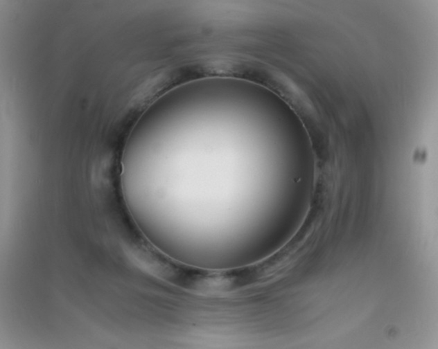 X0000091300217200708172215