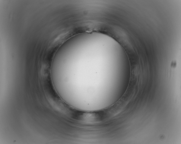 X0000091300218200708172215