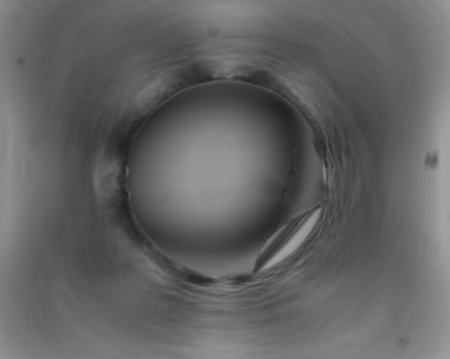 X0000091300219200708172215