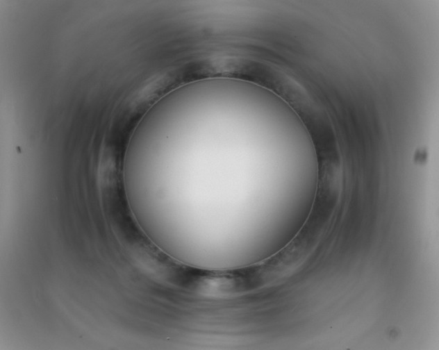 X0000091300220200708172215