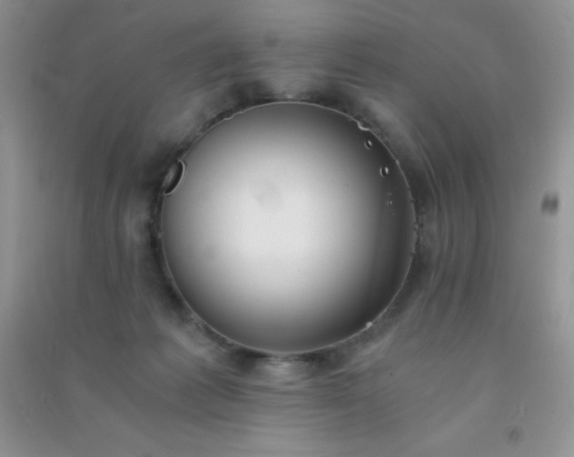 X0000091300221200708172215